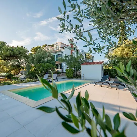 Appartamento Pet Friendly In *