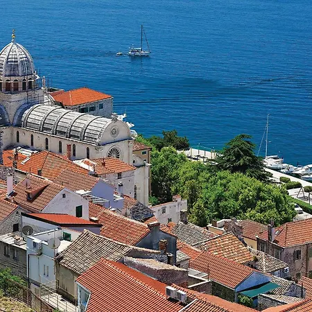 Pet Friendly In 公寓