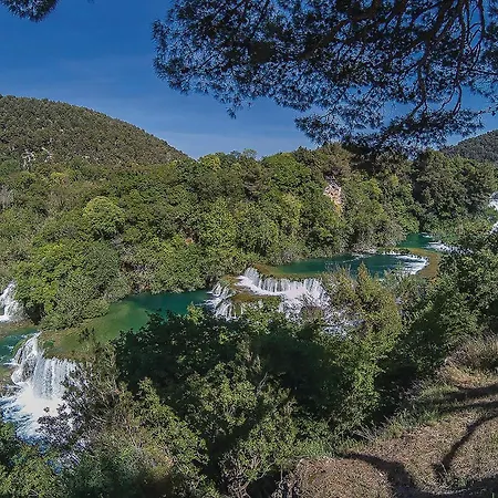 Pet Friendly In Appartement