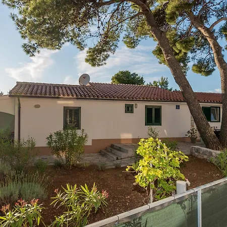 Appartamento Pet Friendly In *