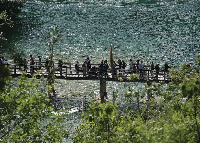 Pet Friendly In * 皮罗瓦茨