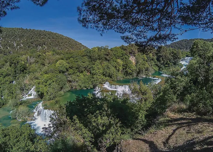 Pet Friendly In Apartment