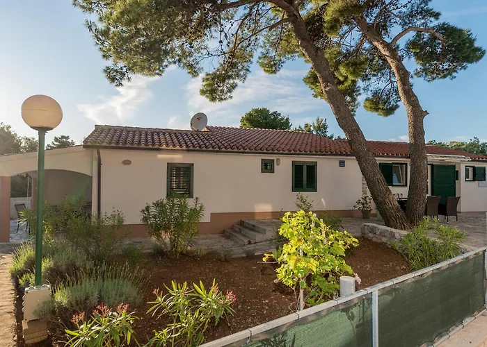 Appartamento Pet Friendly In *